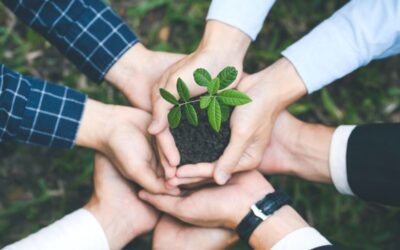 Cómo aplicar estrategias de sostenibilidad empresarial en pymes paso a paso