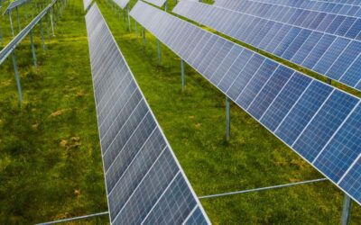 Medidas de eficiencia energética para reducir costes en tu empresa sin grandes inversiones